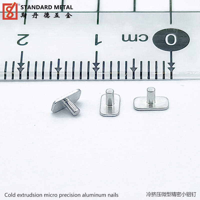 Aluminum Cold Extruded Micro Precision Part